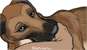 Amber Nomf, Revisit by WolfyWetFurr