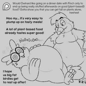 Ask Box 112: Bird Food by Nishi