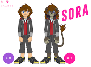 Sora in BNA: Brand New Animal by PokeSora13