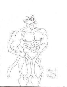 More of the Muscle Male Cat by bluecollie55