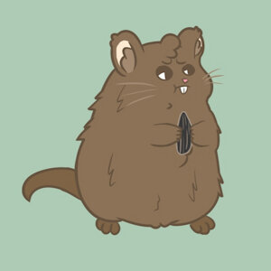 Mint the vole by SecretAmbulance