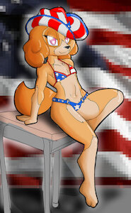 USA Patroll by TheBurningDonut