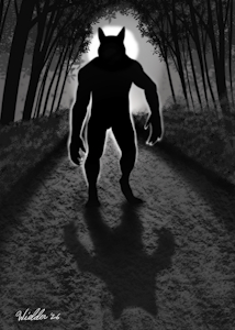 The Shadowed Path by wielder13