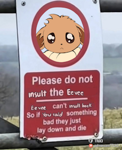 Warning ! Eevee ahead ! by TTUX3