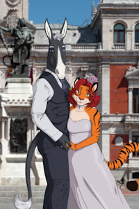 Tigress and Donkey married by Ysergrin
