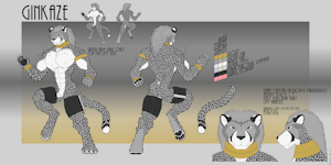 Ginkaze Refsheet 2026 Summer by Ginkaze