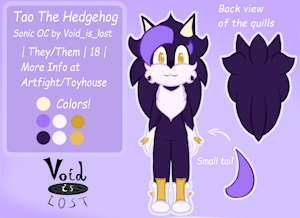 Tao The Hedgehog by VoidIsLost