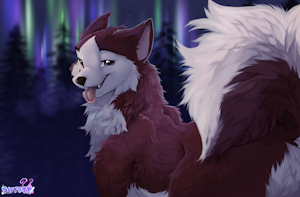 Kodi by Shyryp
