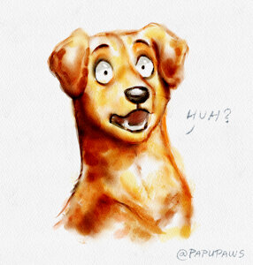 Huh? by PapuPaws