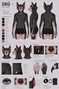 Dr&uacute; ref sheet by DruTheBat
