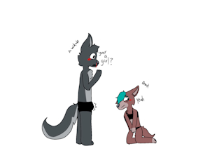(Seggestive) Wild wolf Brook met learnt Brook is a girl by BrookTheDog