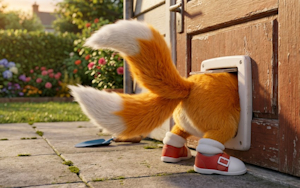 Tails Stuck in Ozzy's Doggy Door by Ljgarrett375