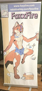 How old a con goer are you? :3 by FoxxFireFlyTrap