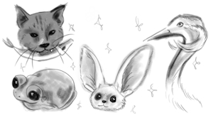 Random animal sketches by RiinDraws