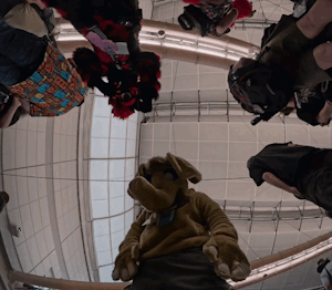 Fursuit Vs Anthrocon by 0Appledectomy0