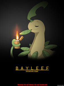 Bayleef by WinickLim