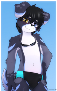 Snowdrift summer July 2026 by Snowybark