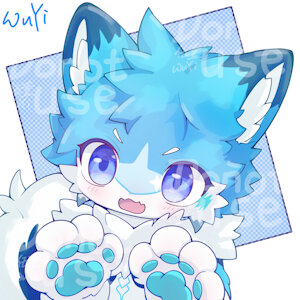 New Submission by WuYi