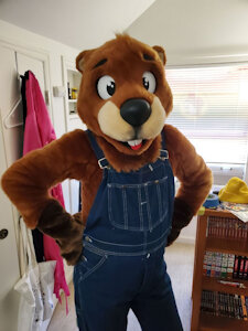 Buckle Beaver! (As Bingo) by Chimaera