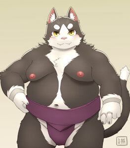 Sumo cat by ShinodaKuma