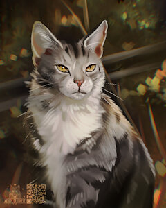 Photo study by MelodyOfForest