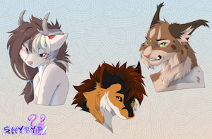 3 portraits by Shyryp