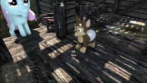 Chase follower mod showcase (Skyrim Special Edition) by Mkgoro112