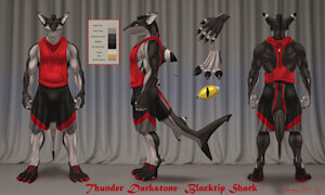 Thunder Darkstone Ref (Street Clothes) by thunder