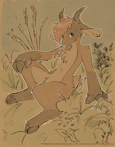 A Goat Outside by Saucy