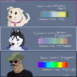 How do Evocanis see the world by GTHusky