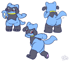 Rosa the riolu by HangyakuNeko
