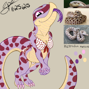 10. Western Hognose Snake (alt 1) by Spe
