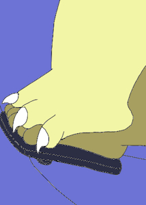 Footsie by Fur915