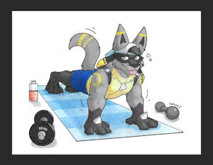 Lucario training by Danwolf15