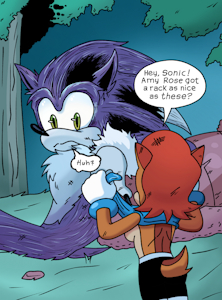 Sally distracting Werehog by Bannerniceman