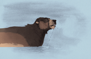 Lake Swim Color by Kuruk
