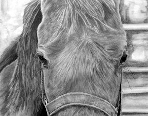 Our Old Horse by wielder13