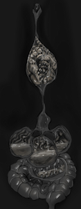 The innards below by Devourer