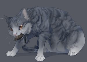 Cat by Shyryp