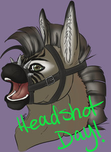 Headshots + Busts! by Streulicht