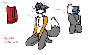 JJ the wolf charcter sheet (updated) by jj23