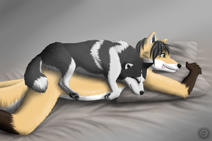Blanket :3 by SunFox