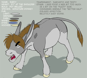 Mini Donk by Sarcy