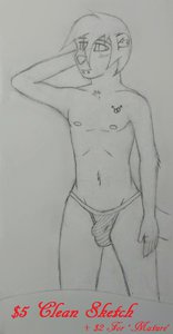 $5 Sketch Commisions by andrewD1324