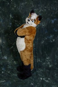 Acru Fox MFF2013 Photoshoot thingy by acrufox