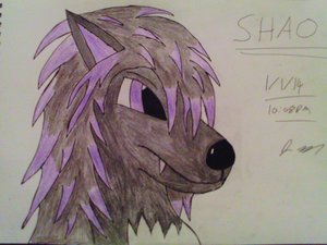 Anime Shao by DeynaLorne