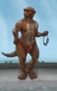 ottermode by laser