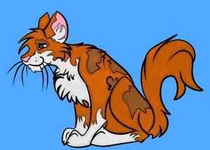 Orange Kitty by Kaltazar