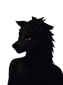 wolf  by Graveyardmonkey