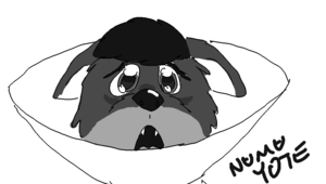 Cone of Shame by numunuucoyote